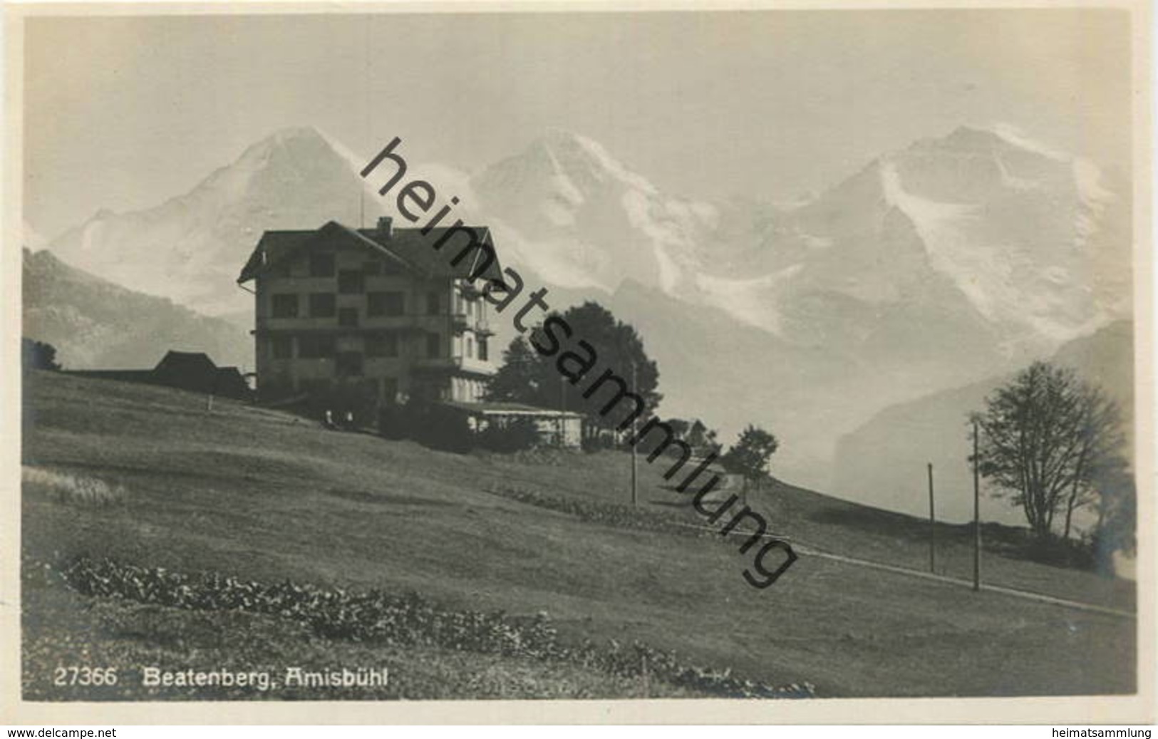 Beatenberg - Amisbühl - Foto-AK - Verlag Wehrli AG Kirchberg Zürich