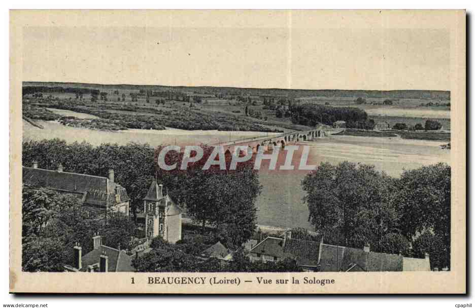 Beaugency - Vue sur la Sologne - CPA