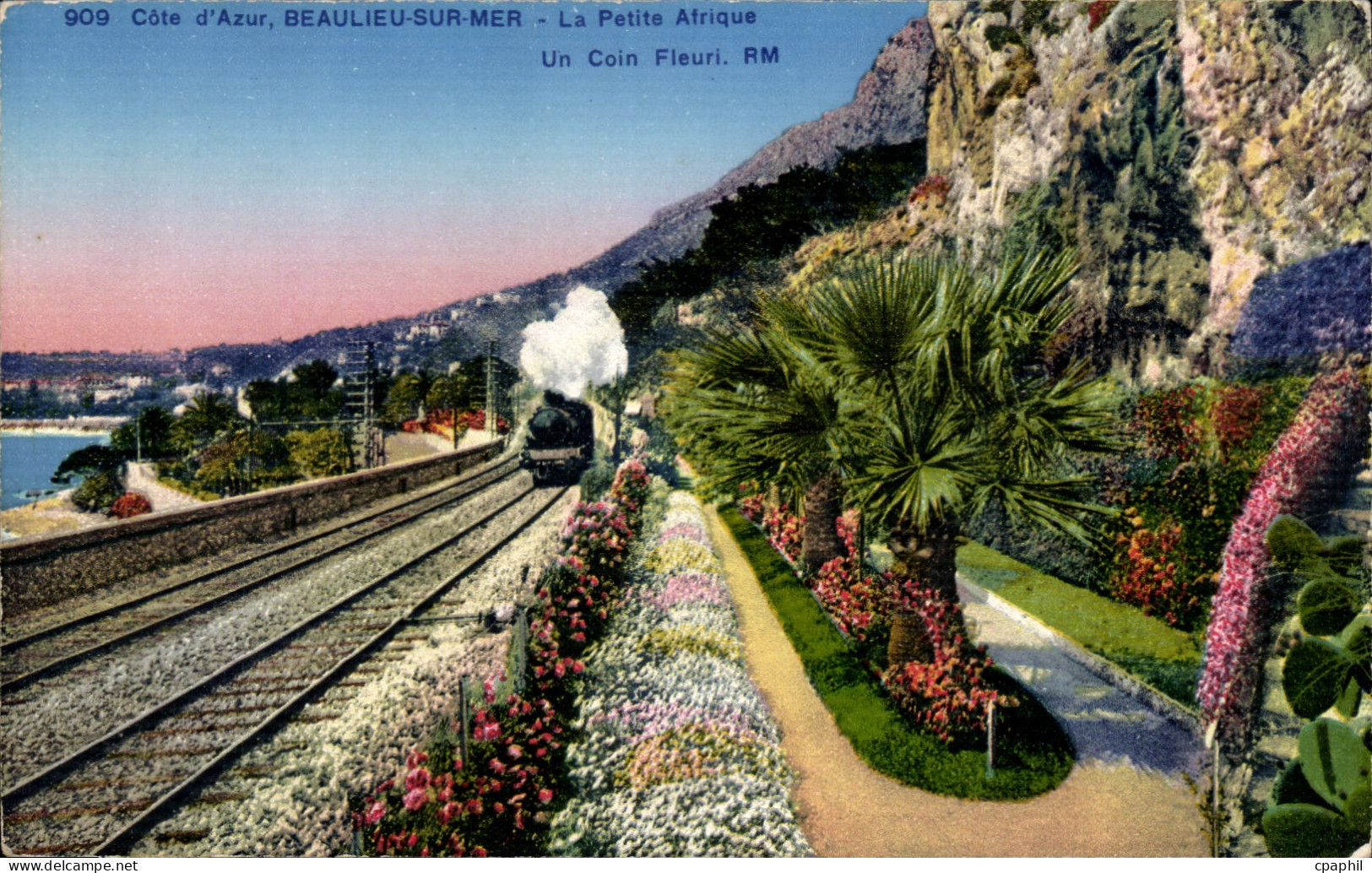 Beaulieu sur Mer CPA le petite Afrique Un coin fleuri (train)