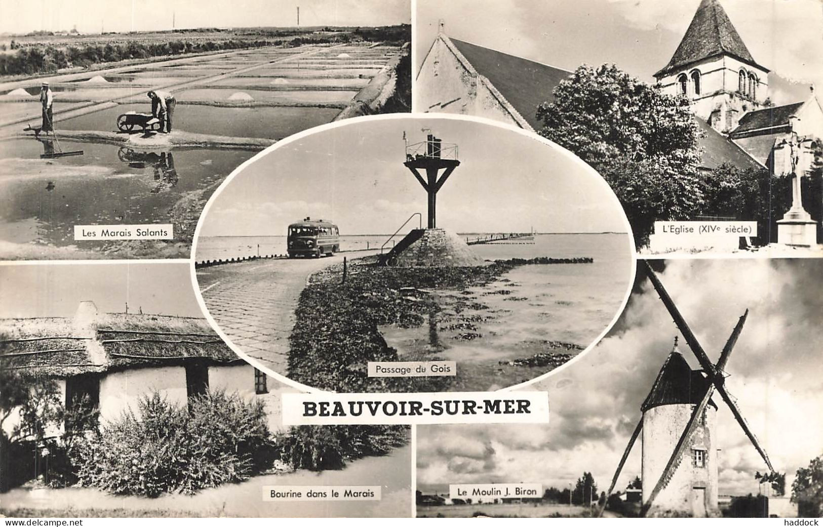 BEAUVOIR SUR MER : MULTIVUES