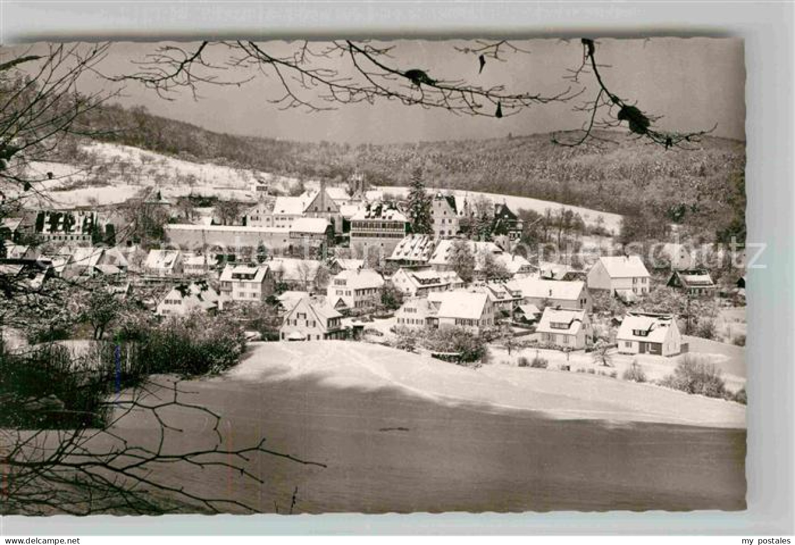 Bebenhausen Tuebingen Winterlandschaft
