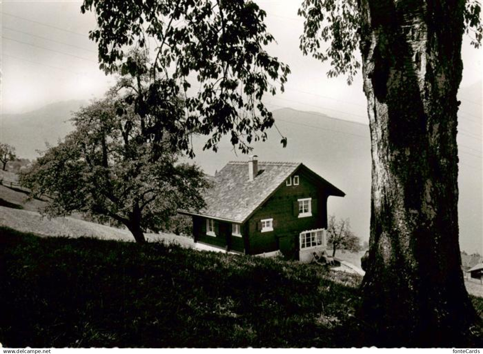 Beckenried Vierwaldstaettersee NW Ferienhaus Beckenried