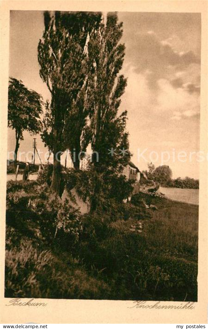 Beckum Westfalen Knochenmuehle