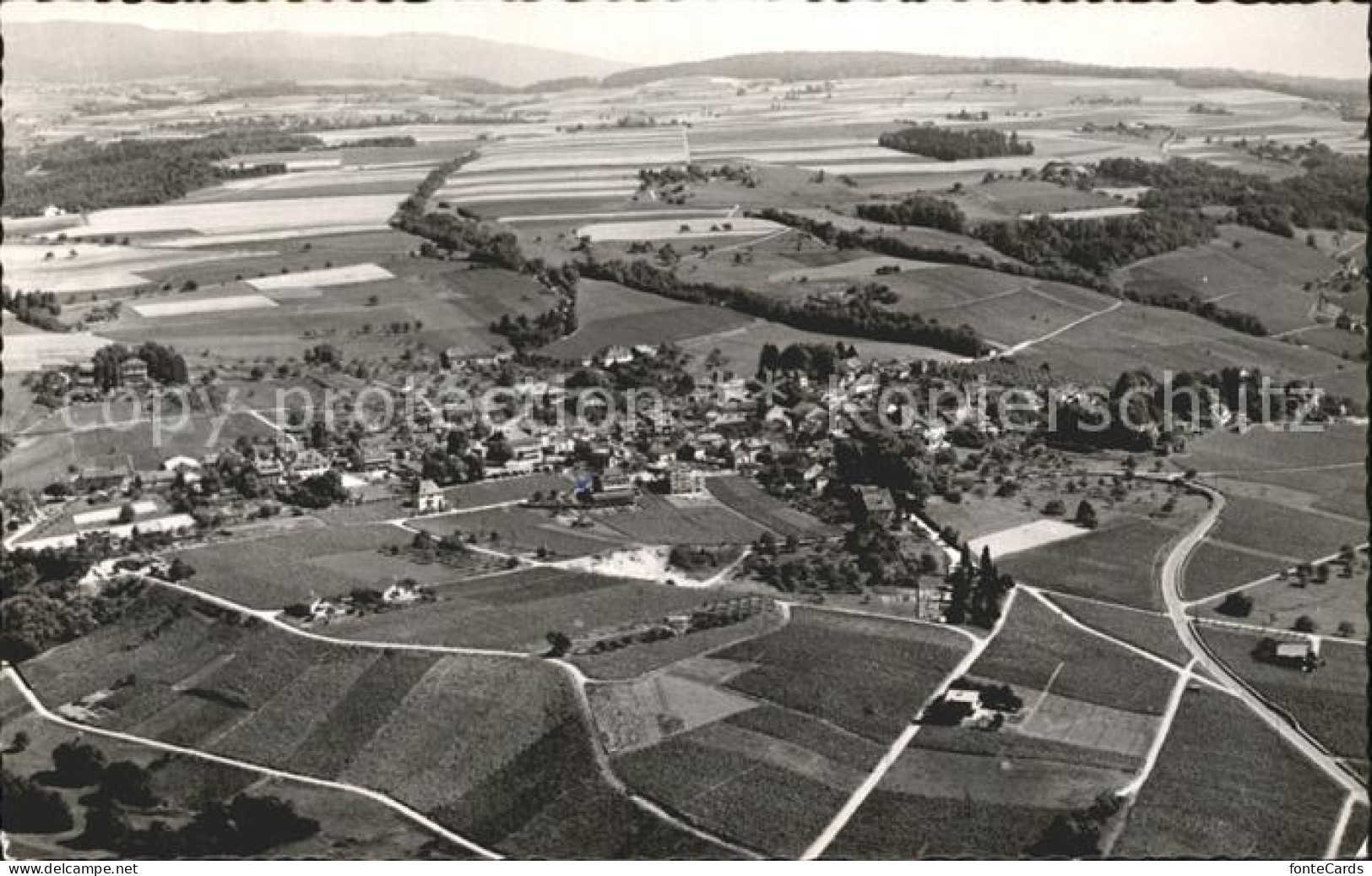 Begnins Fliegeraufnahme