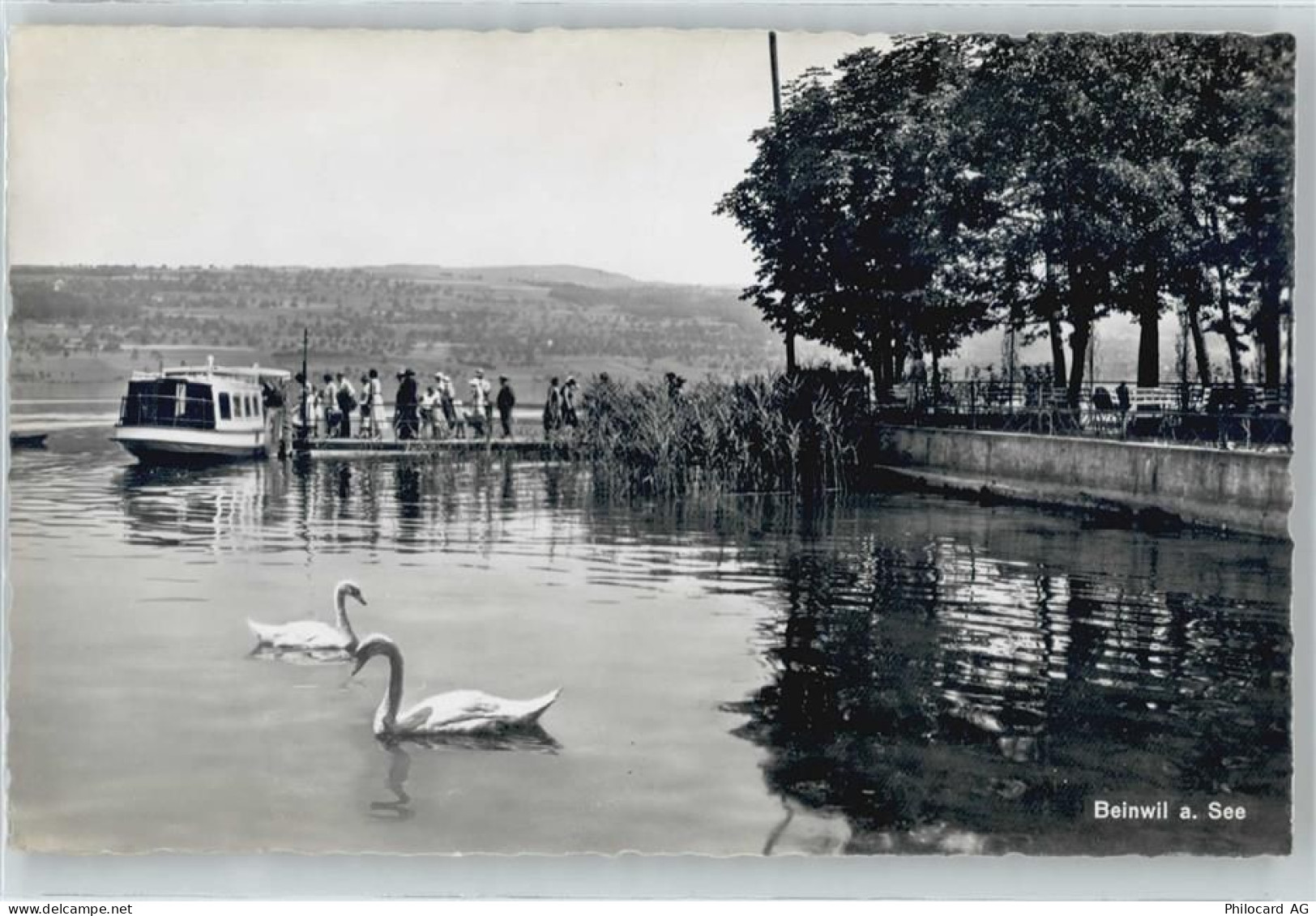 Beinwil am See Binnenschiff - 50576559