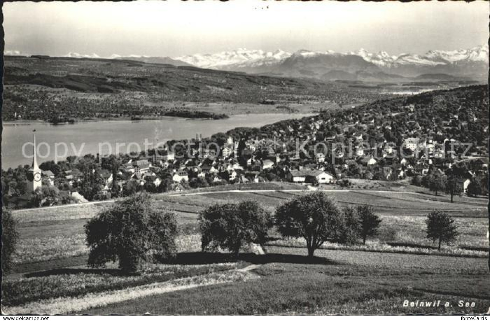 Beinwil See