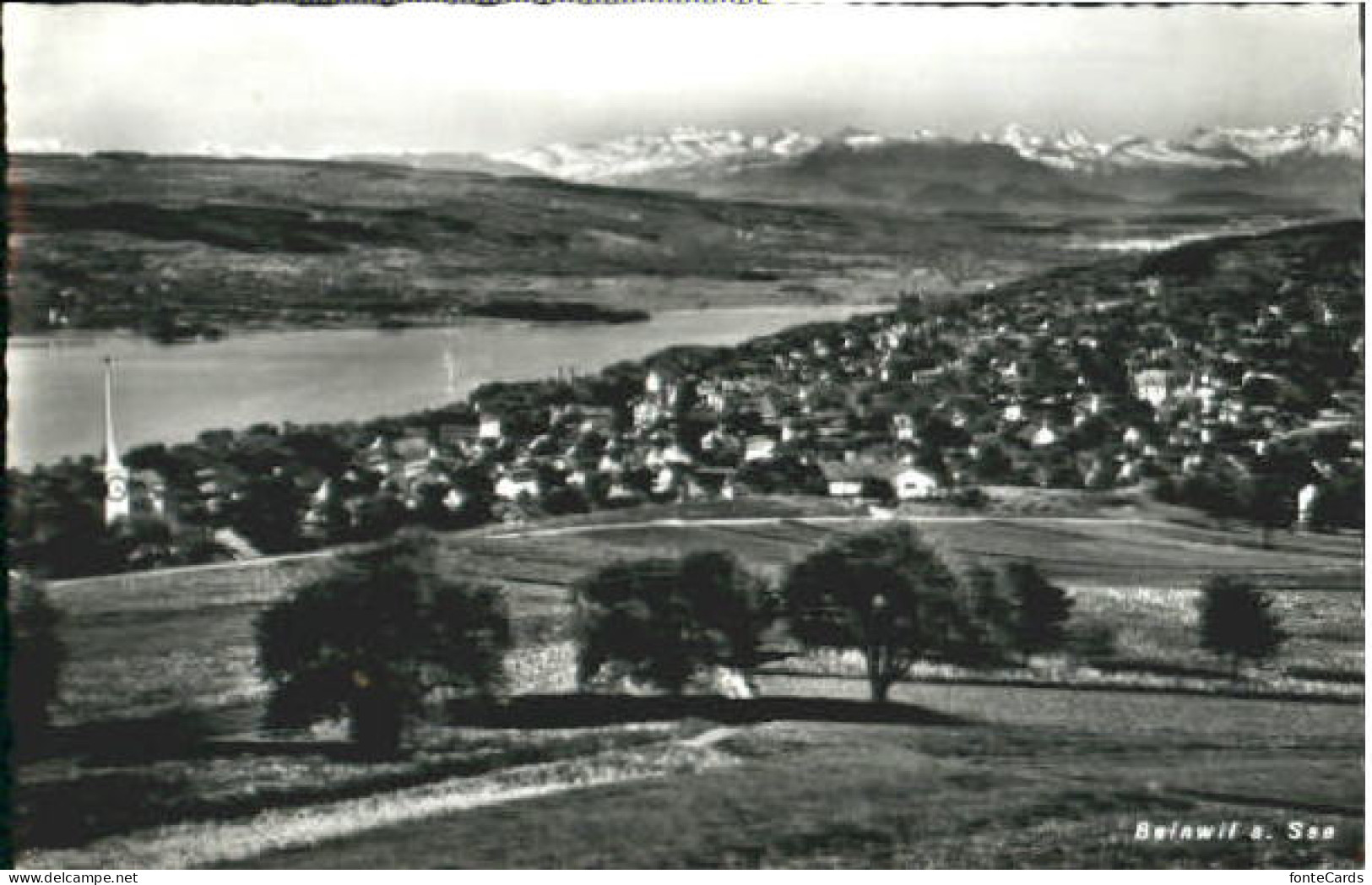 Beinwil See Beinwil See