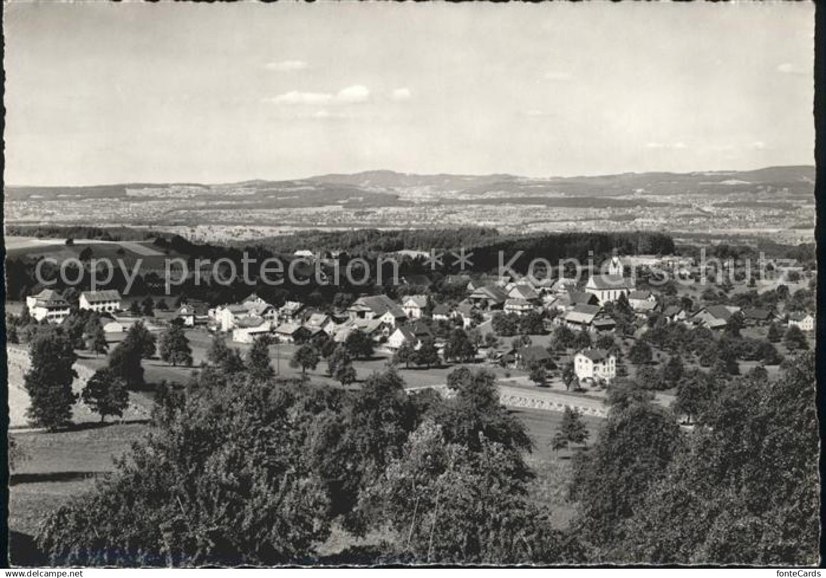 Beinwil See Panorama
