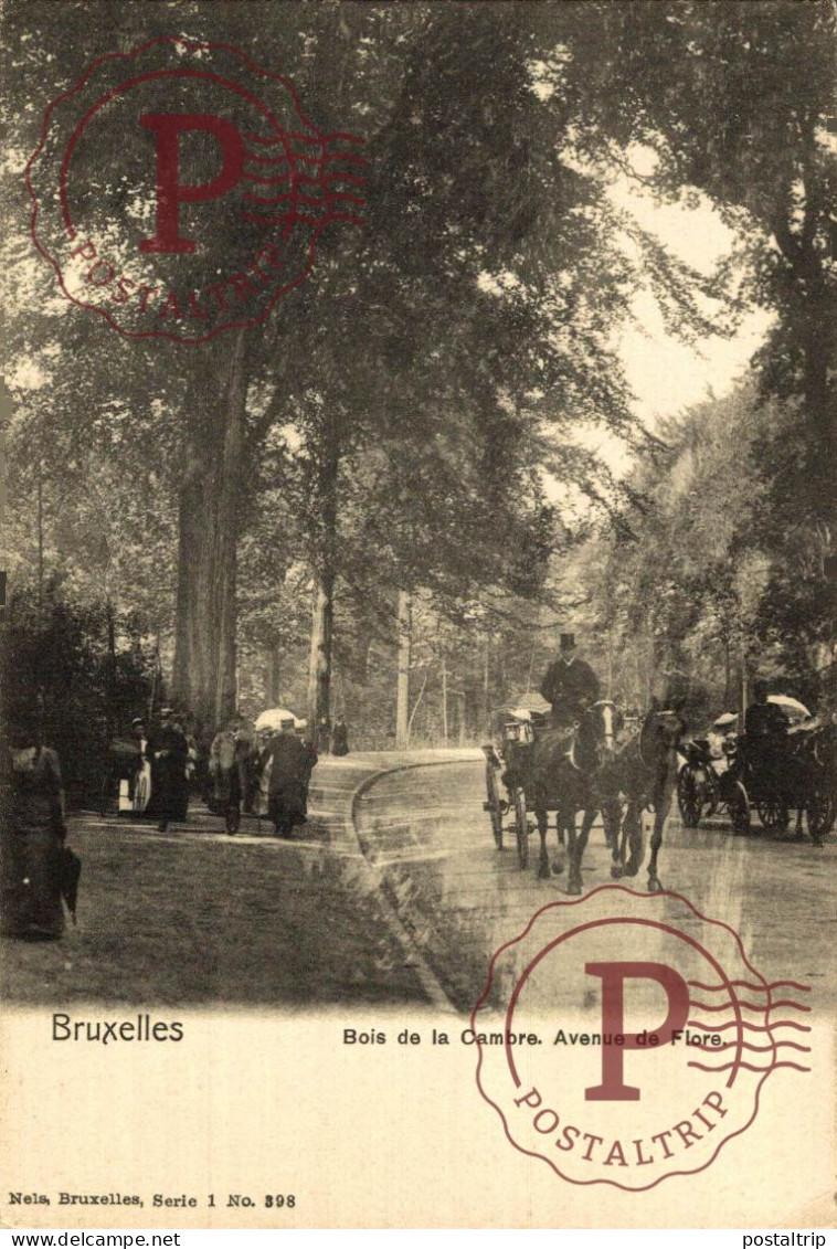 BELGICA. BELGIEN / BELGIUM. BRUSELAS BRUXELLES. BÓIS DE LA CAMBRE. AVENUE DE FLORE
