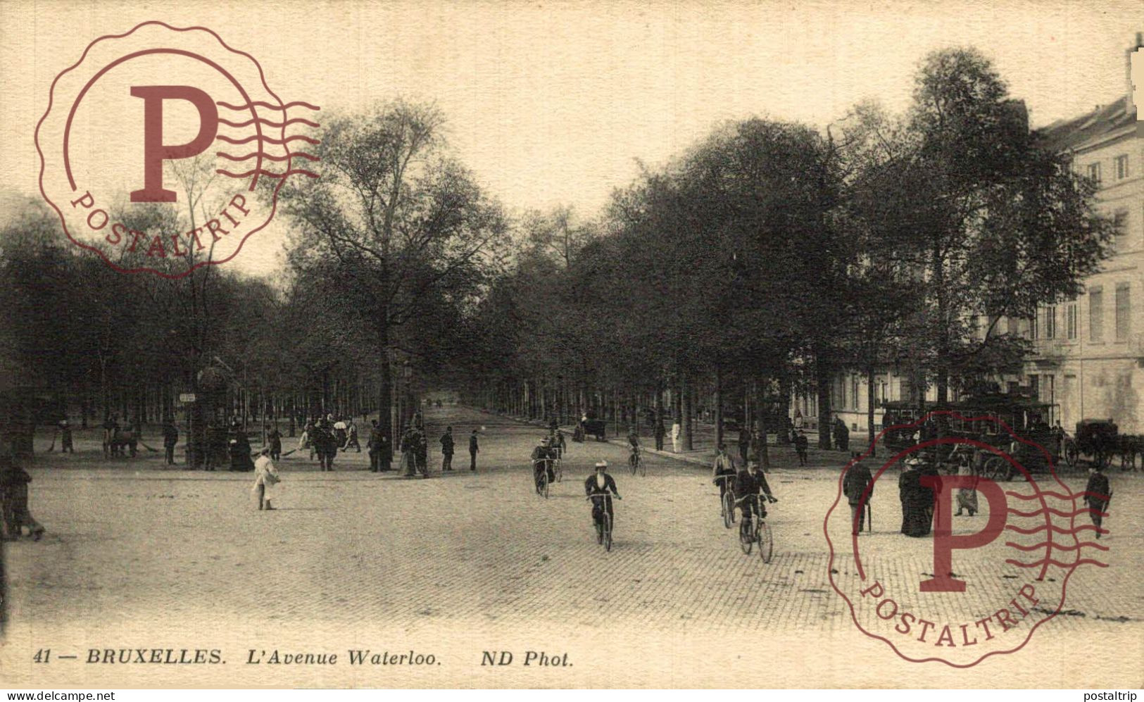 BELGICA. BELGIEN / BELGIUM. BRUSELAS BRUXELLES. L'AVENUE WATERLOO