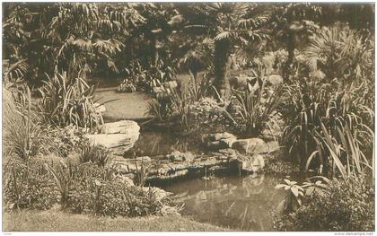 ANTWERPEN - Dierentuin - De Waterval.