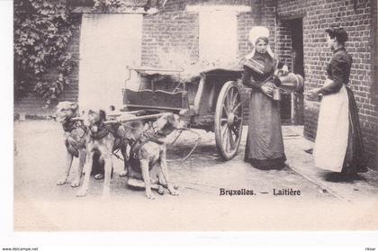 BELGIQUE(BRUXELLES) VOITURE A CHIEN