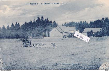 Bièvre :   La meute en plaine