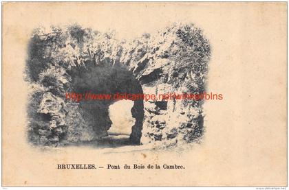 Pont du Bois de la Cambre