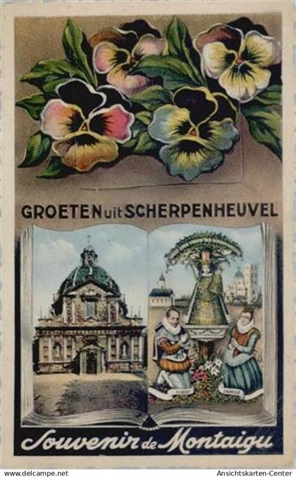 55121158 - Scherpenheuvel-Zichem