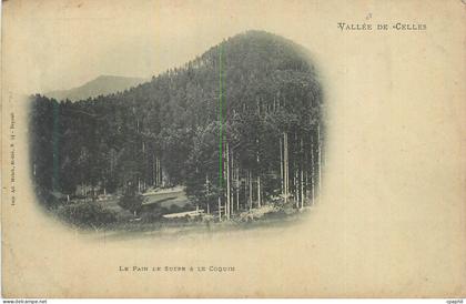 CPA Vallee de Celles Le Pain Le Sucre Le Coquin