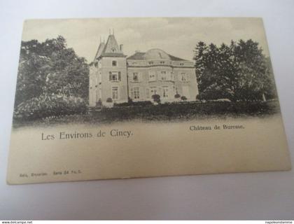 Les environs de Ciney, Chateau de Buresse