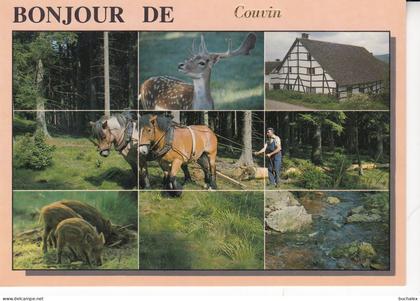 Belgien AK BONJOUR DE COUVIN -- ungelaufen