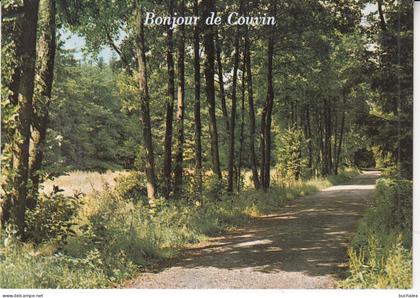 Belgien AK Bonjour de Couvin - ungelaufen
