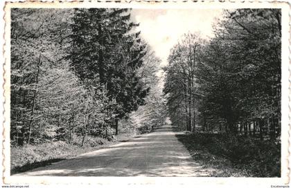 CPA  Carte postale Belgique  HautFays  Route de Wellin  VM85822