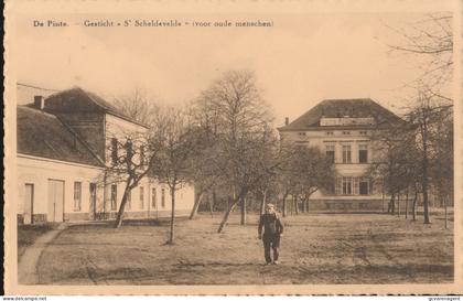 DE PINTE      GESCHTICHT ST SCHELDEVELDE  ( VOOR OUDE MENSCHEN )