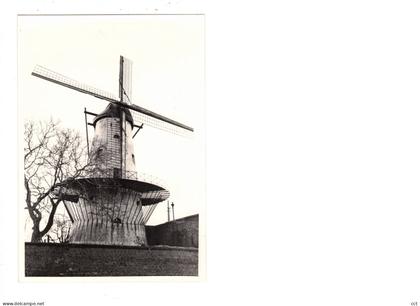 Deerlijk    FOTO   Molen ter Geest     1980   MOLEN  MOULIN