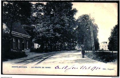 Reproduction d'une carte postale Belgique   Destelbergen  Route de Gand 1910 VM100772