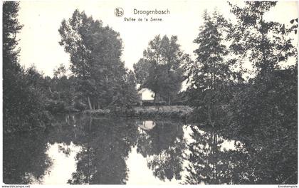 CPA Carte Postale Belgique Droogenbosch  Vallée de la Senne VM78873