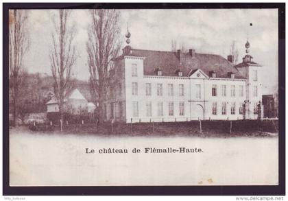 Carte Postale - Le château de FLEMALLE HAUTE - CPA  //