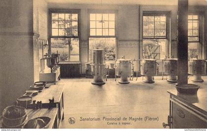 [-50%] BELGIQUE - Fléron - Sanatorium Provincial de Magnée - Cuisine à vapeur - Carte postale ancienne