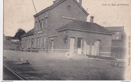 GARE DE BOIS DE FLOBECQ