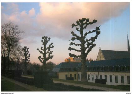 CPM Nais DE HALLEUX ecole Decraly