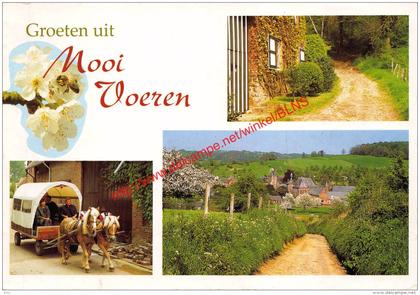 Groeten uit - Voeren