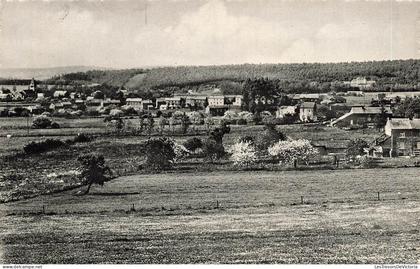 [-10%] BELGIQUE - Gesves - Faulx les Tombes - Panorama - Carte Postale