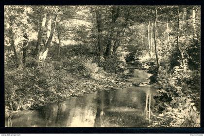 CPA - Carte Postale - Belgique - Habay la Neuve - Sous Bois près du Pont d'Oie (CP19294)