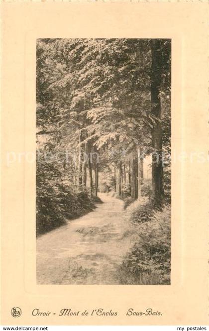 Orroir Mont de L Enclus Sous Bois