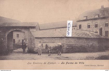Les environs de HAMOIR : La ferme de ville  (  vache )