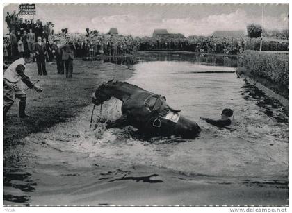 Waregem :  val in de gaverbeek  (  paarden sport - ruiters )  -  GROOT FORMAAT