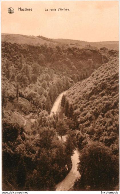CPA  Carte Postale  Belgique Hastière La Route d'Anhée  VM105003
