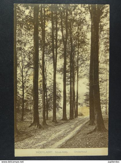 Hoeilaart Sous-bois Onderhout
