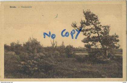 Heide : heidezicht