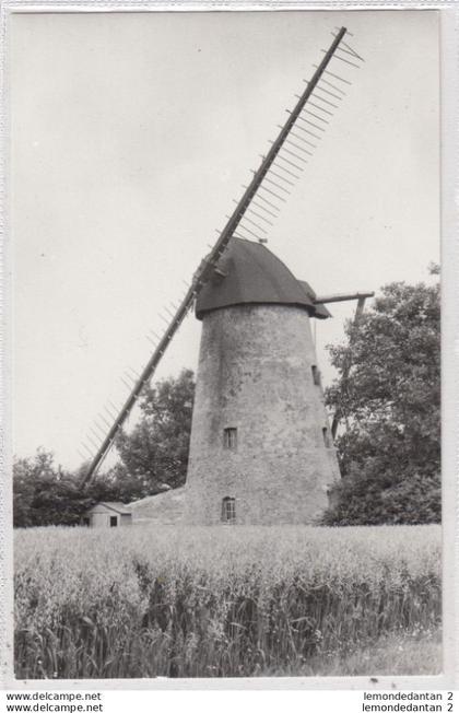 Sint-Kornelis-Horebeke. Hoogkoutermolen. *