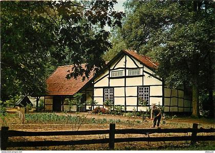 Belgique - Houthalen-Helchteren - Domein Hengelhoef - CPM - Voir Scans Recto-Verso