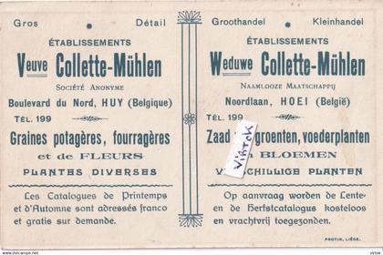 Huy - Hoei :  établissements Veuve Colette-Mühlen :  Grains potagères, fourragères - zaden en groenten