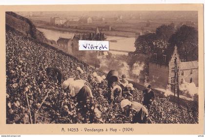 HUY :  vendanges   1924