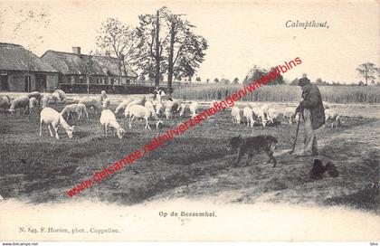 Calmpthout - Op de Bessemhei - F. Hoelen - Kalmthout