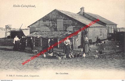 Heide-Calmpthout - De Cambus - F. Hoelen - Kalmthout
