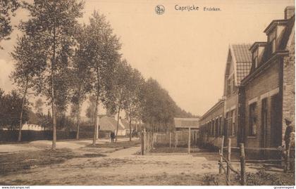 KAPRIJKE.   ENDEKE