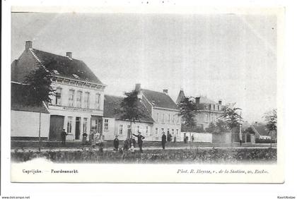 Kaprijke - Paardenmarkt.