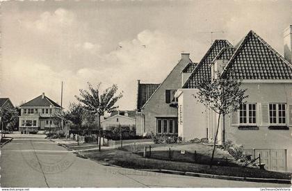 [-10%] BELGIQUE - Crainhem - Avenue des Hortensias - Kraainem - Hortensiaslaan - Carte Postale Ancienne